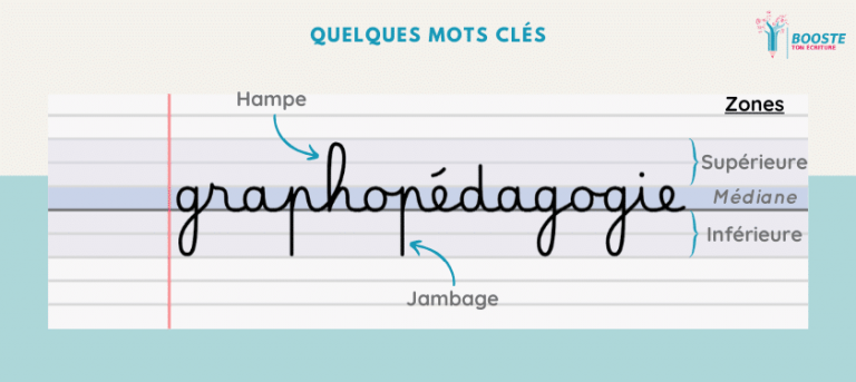Schéma des zones de l’écriture : hampe, jambage et zone médiane